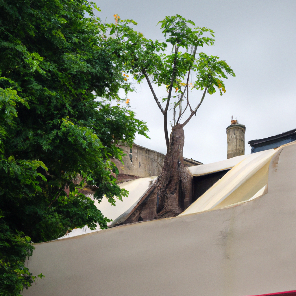 Unexpected Ways to Extend the Lifespan of Your Roof